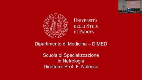 Thumbnail for Terapia conservativa come rescue therapy nel End Stage Kidney Disease (ESKD)