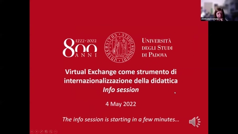 Thumbnail for Info Session 'Virtual Exchange come strumento di internazionalizzazione della didattica', 4 maggio 2022