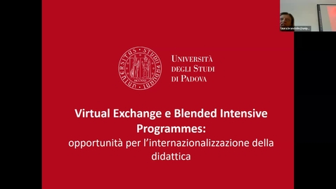 Thumbnail for Virtual Exchange e Blended Intensive Programmes: opportunità per l’internazionalizzazione della didattica