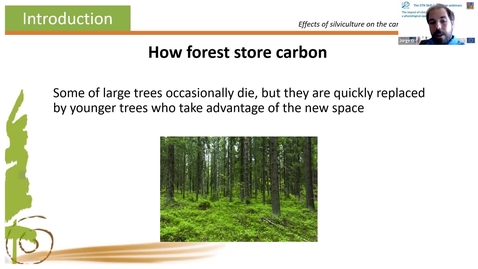 Thumbnail for ETN Skill-For.Action: Carbon Cycle in Forestry
