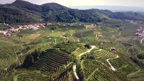 Thumbnail for Story of a Wine: The Importance of Being Prosecco