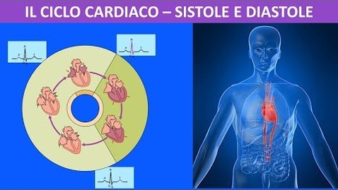 Thumbnail for entry Sistema circolatorio - il ciclo cardiaco sistole e diastole