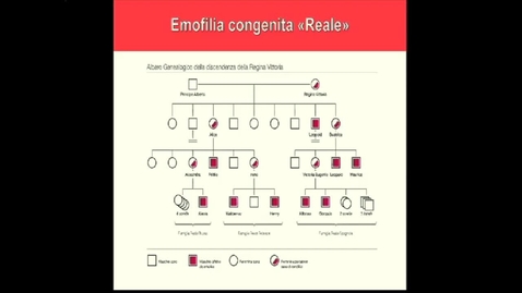 Thumbnail for entry Una emorragia per niente “Reale”