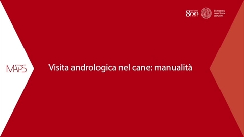Thumbnail for entry Visita andrologica di un cane, Prof.ssa Chiara Milani