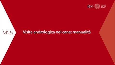 Thumbnail for Visita andrologica di un cane, Prof.ssa Chiara Milani