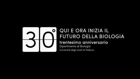Thumbnail for 3° tempo - futuro