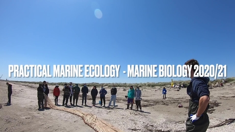 Thumbnail for entry Master in Marine Biology - Practical Marine Ecology course 