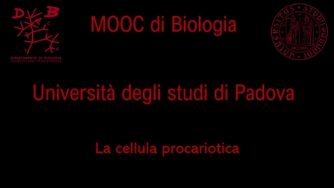 Thumbnail for entry 02 La cellula procariotica