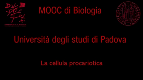 Thumbnail for 02 La cellula procariotica