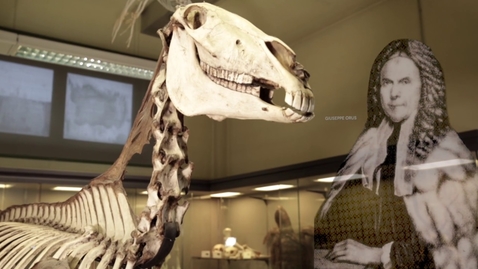 Thumbnail for Il museo di Medicina Veterinaria dell'Università di Padova