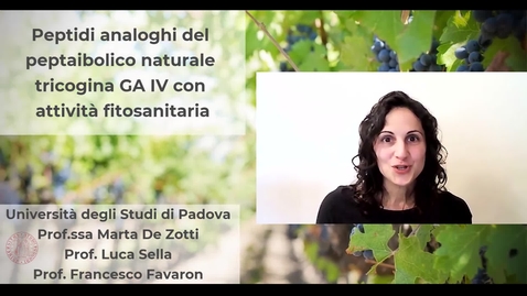 Thumbnail for Peptidi con attività fitosanitaria / Peptides for plant protection