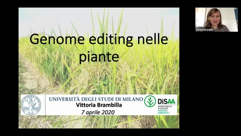 Thumbnail for entry 3 - Dott.ssa Vittoria Brambilla (GE in ambito vegetale)