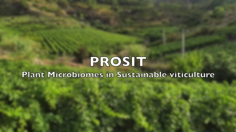Thumbnail for PROSIT