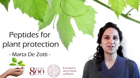 Thumbnail for Peptidi con attività fitosanitaria / Peptides for plant protection