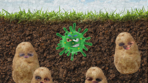 Thumbnail for PATHOGEN AND CLIMATE CHANGE