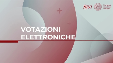 Thumbnail for entry Elezioni voto elettronico
