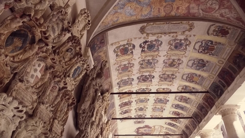 Thumbnail for 10 reasons for studying in Padova