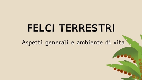 Thumbnail for entry 1 - Le felci terrestri: aspetti generali