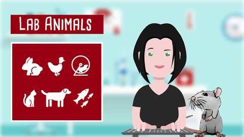 Thumbnail for Choose Your Curriculum - Animal Care Bachelor's @UniPD