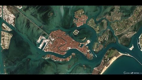 Thumbnail for entry Venezia: le acque della laguna tornano trasparenti. Ecco il motivo