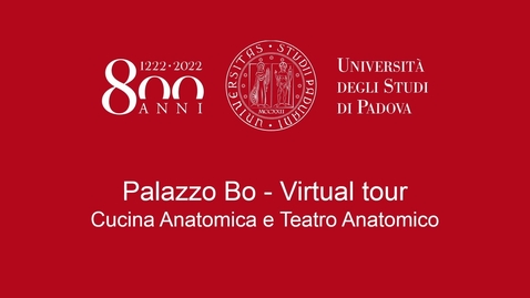 Thumbnail for entry Cucina anatomica e Teatro Anatomico