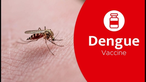Thumbnail for entry Vaccino Dengue