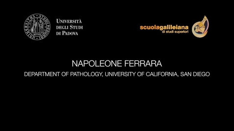 Thumbnail for NAPOLEONE FERRARA