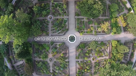 Thumbnail for Il volo dall'Orto Antico al Giardino della Biodiversità