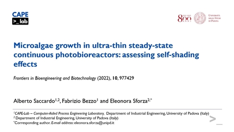 Thumbnail for entry Microalgae growth in thin photobioreactors
