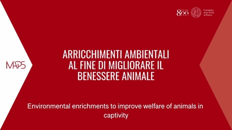 Thumbnail for Arricchimenti ambientali al fine di migliorare il benessere animale - Prof.ssa Marta Brscic