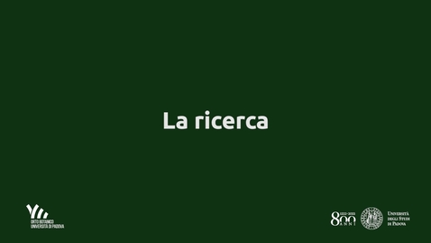 Thumbnail for La ricerca