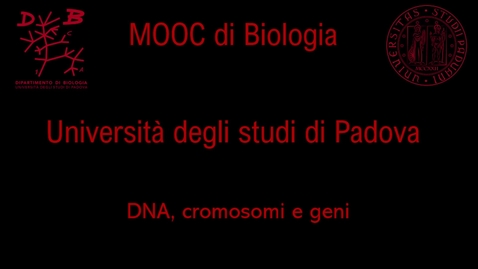 Thumbnail for entry 06 DNA, cromosomi e geni