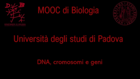 Thumbnail for 06 DNA, cromosomi e geni