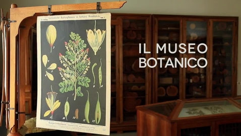 Thumbnail for entry Museo Botanico