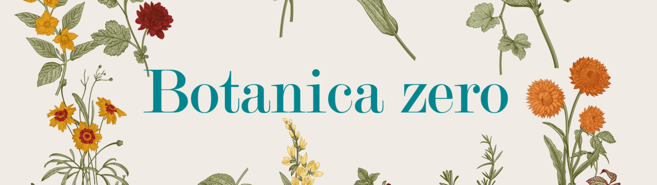 Ciclo vitale delle angiosperme