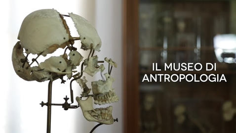 Thumbnail for entry Museo di Antropologia 