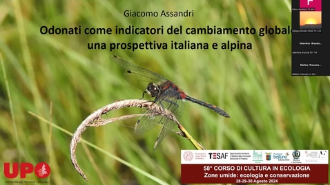 Thumbnail for Odonati come indicatori del cambiamento globale: una prospettiva italiana e alpina