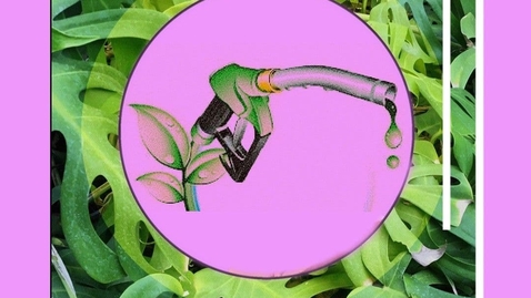 Thumbnail for entry Biofuels and Microalgae