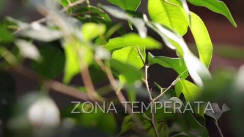 Thumbnail for La serre Temperata e Mediterranea del Giardino della Biodiversità