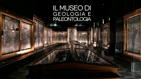 Thumbnail for entry Museo di Geologia e Paleontologia