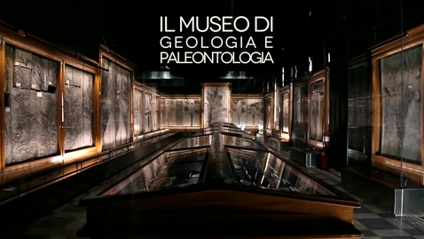 Thumbnail for Museo di Geologia e Paleontologia