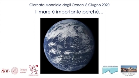 Thumbnail for entry Giornata mondiale degli oceani 2020: &quot;Il mare è importante perchè...&quot;