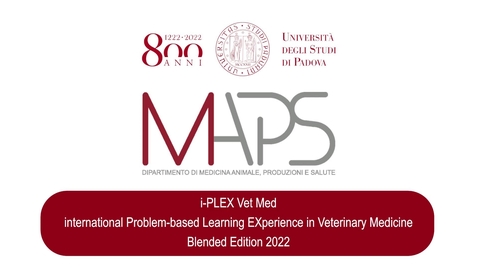 Thumbnail for entry I PLEX Vet Med, International Problem Based Learning experience in Veterinary Medicine