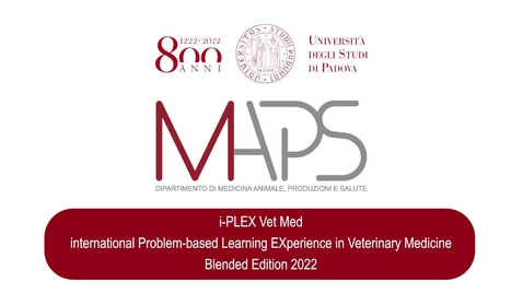 Thumbnail for I PLEX Vet Med, International Problem Based Learning experience in Veterinary Medicine