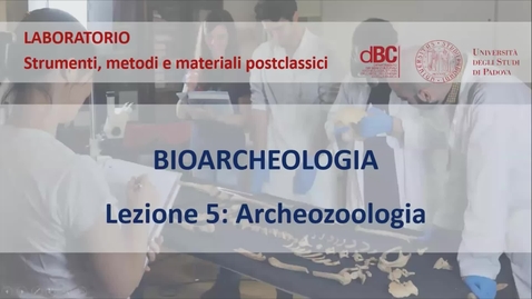 Thumbnail for entry Lezione 7. Introduzione allo studio zooarcheologico