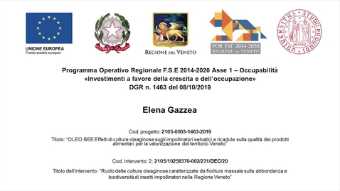 Thumbnail for entry FSE_30sec Elena Gazzea 2105-0003-1463-2019