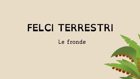 Thumbnail for entry 2 - Le felci terrestri: le fronde