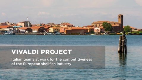 Thumbnail for Vivaldi Project