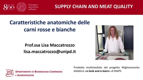 Thumbnail for entry Caratteristiche anatomiche delle carni rosse e bianche - Prof.ssa Lisa Maccatrozzo (dipartimento BCA)
