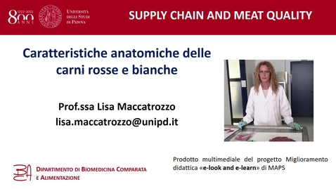Thumbnail for Caratteristiche anatomiche delle carni rosse e bianche - Prof.ssa Lisa Maccatrozzo (dipartimento BCA)